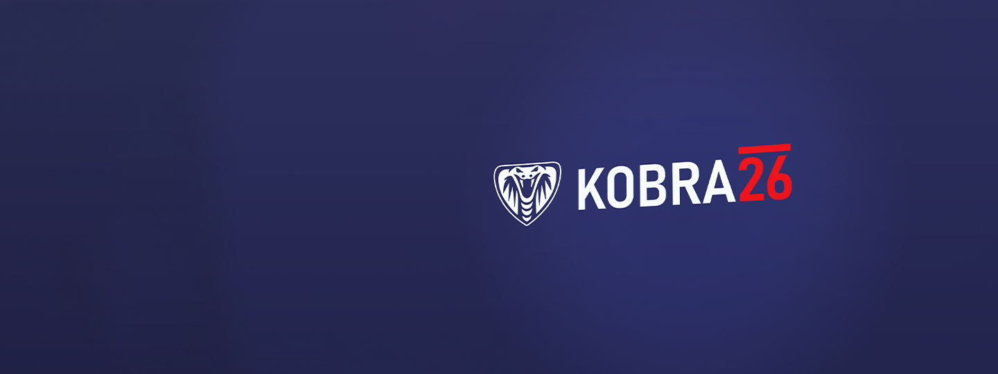 KOBRA 26: Tři ministerstva spoj&iacute; s&iacute;ly v boji s neleg&aacute;ln&iacute; prac&iacute;