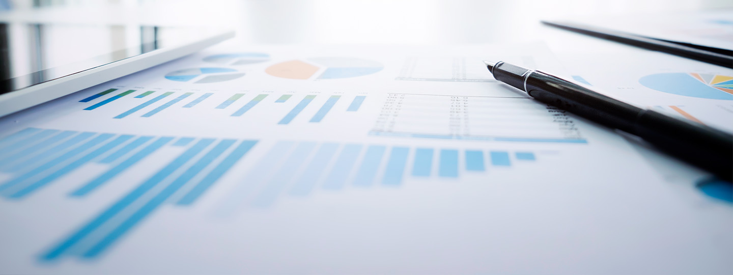 Fiscal Outlook of the Czech Republic (November 2025)