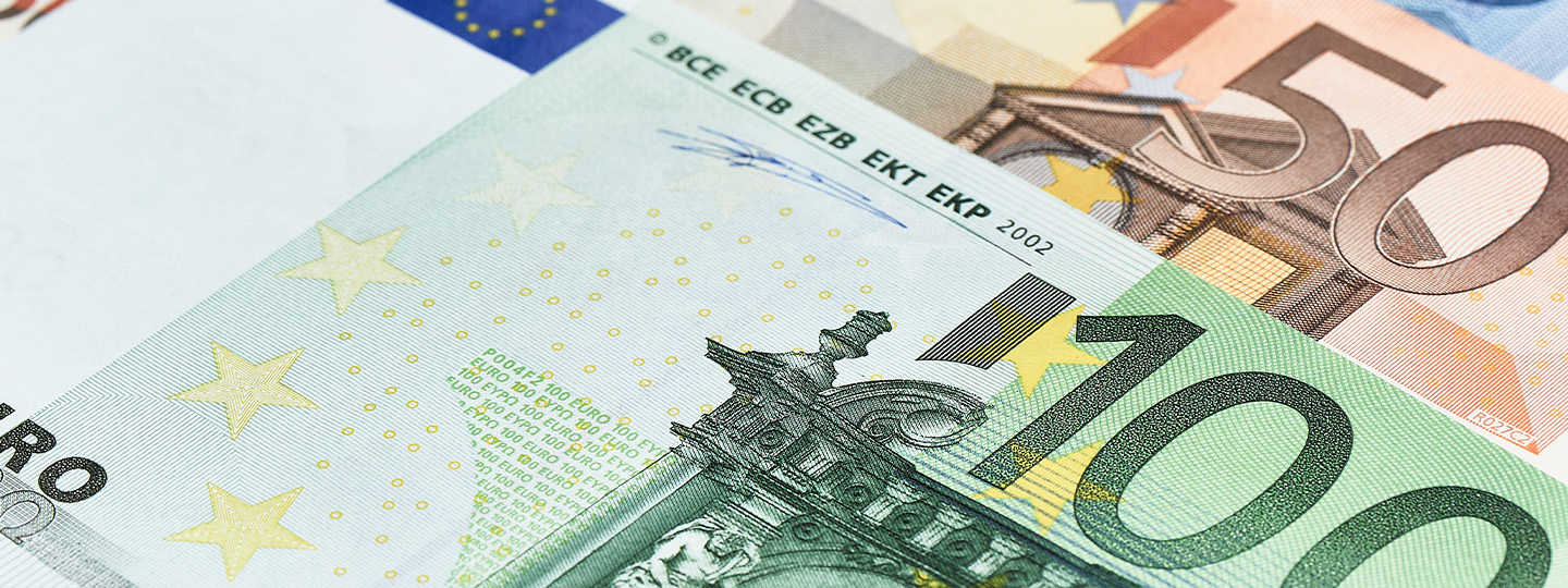 Government not to set euro adoption date for now